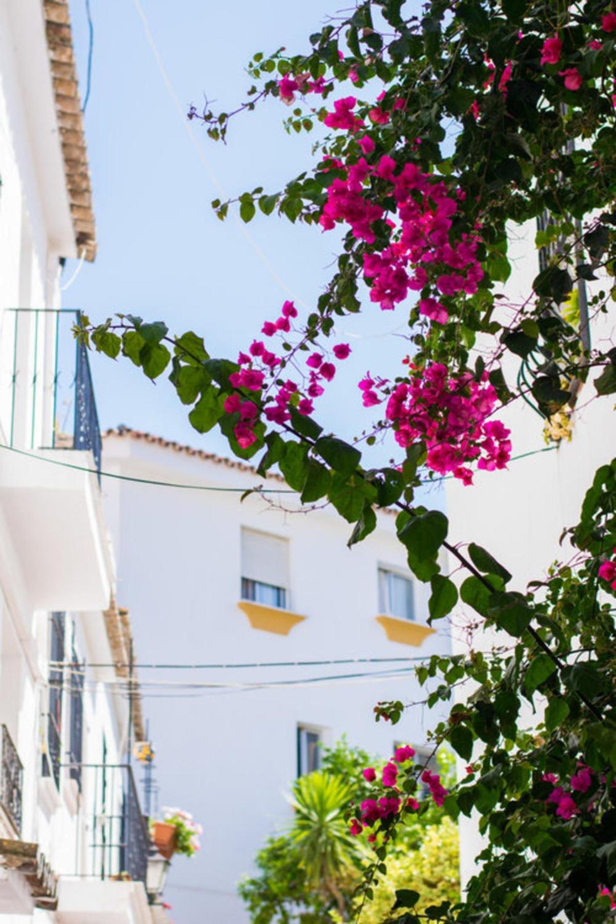 Superior 3Br Golfla Apartment Minutes From Puerto Banus & Marbella Màlaga Exteriér fotografie